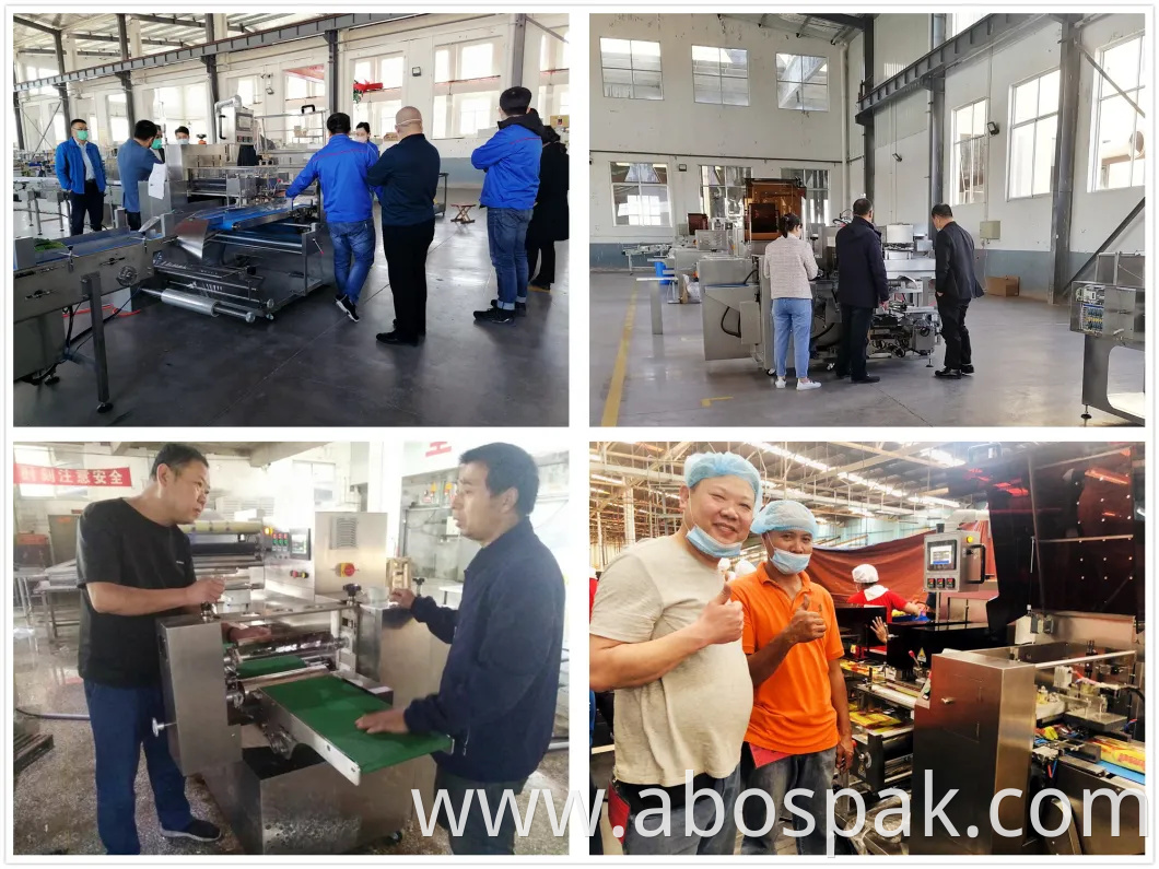 Food Pieces Group Secondary Wrap Automatic Box Motion Flow Pillow Bag Sealing Packing Packaging Machinery